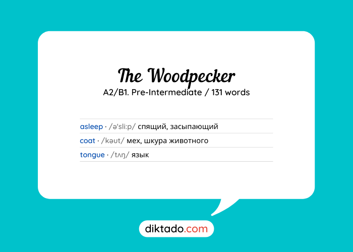 The Woodpecker