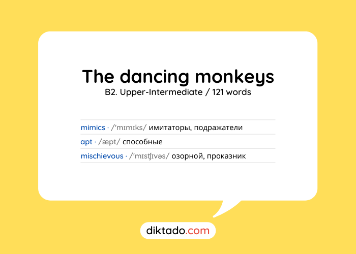 The dancing monkeys