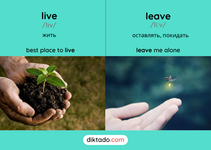 Live — leave