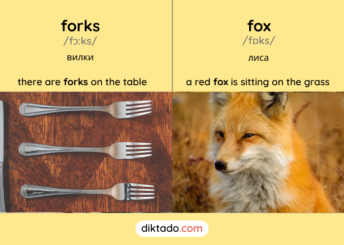 Forks — fox