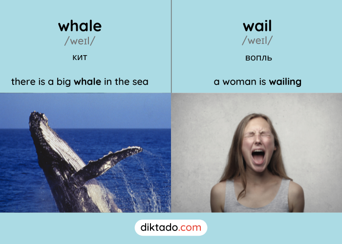 Whale — wail