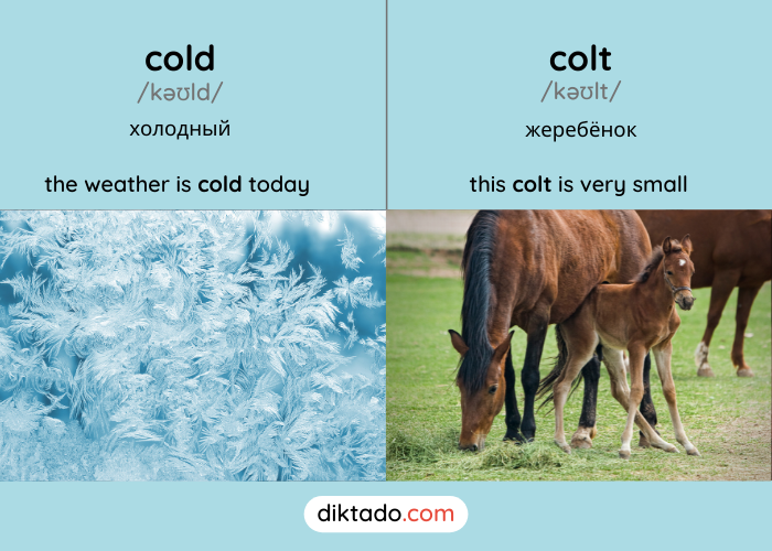 Cold — colt