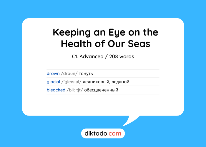 Keeping an Eye on the Health of Our Seas