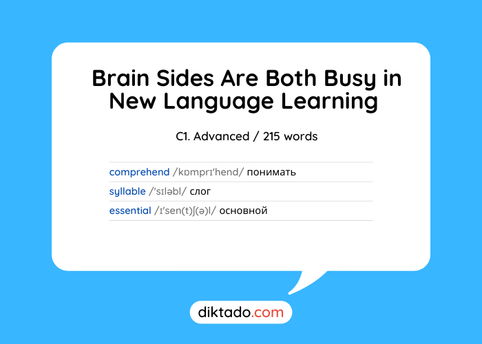 Brain Sides Are Both Busy in New Language Learning