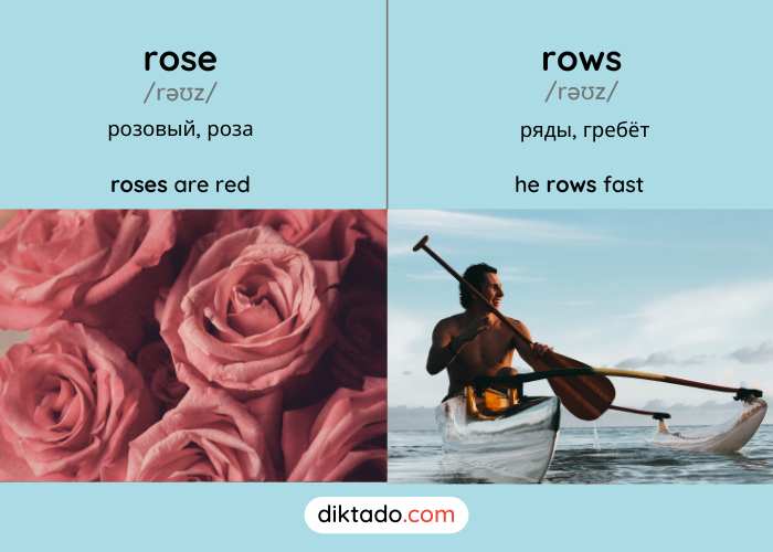 Rows — rose