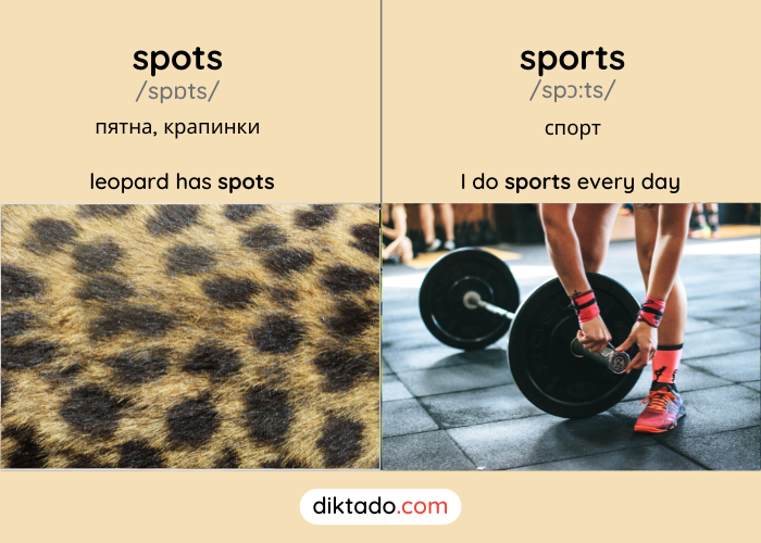 Spots — sports